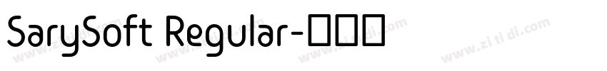 SarySoft Regular字体转换